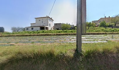 SG CONCEPT, Mlle Gallo Sophie, Collaboration Et Soutien Administratif En Télétravail à Distance Ou Sur Place, Concepteur de Sites Web à Grasse