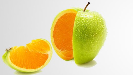 3dfi.net, Concepteur de Sites Web à Polignac