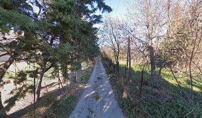 NEWEB DESIGN MONTPELLIER, Concepteur de Sites Web à Saint-Jean-de-Védas