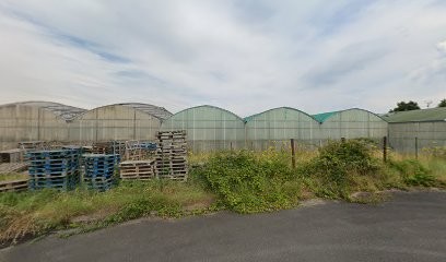 ffds, Concepteur de Sites Web à Chémery