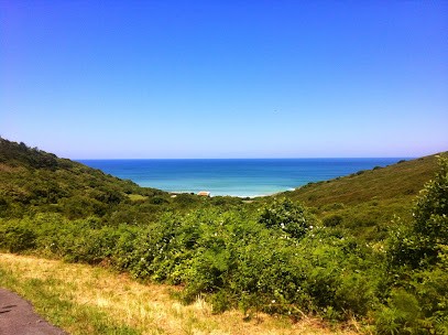 Bluelogic, Concepteur de Sites Web à Anglet