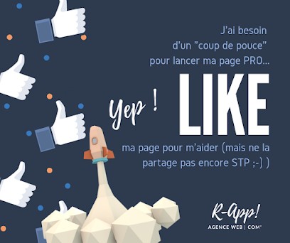 Réseaux sociaux | L'Agence R-App.fr gère votre community management, Concepteur de Sites Web à Clermont-Ferrand