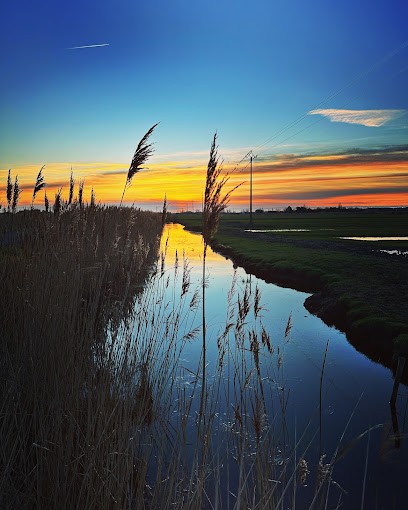 Vent des Web, Concepteur de Sites Web à Notre-Dame-de-Monts