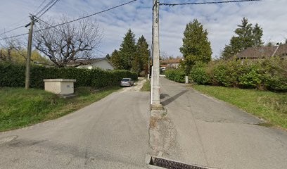 Masson Marguerite, Concepteur de Sites Web à Herbeys