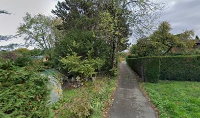 SARL Machetto Douglas, Concepteur de Sites Web à Publier