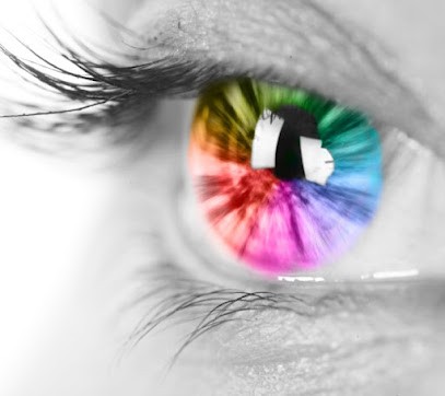 DTSEWEB, Concepteur de Sites Web à Malakoff