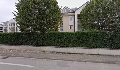 WebPros, Concepteur de Sites Web à Ferney-Voltaire