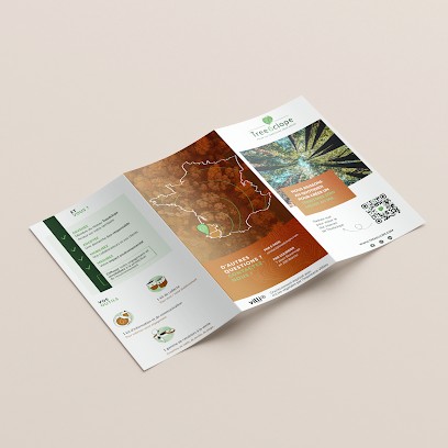 Mawjo Design, Concepteur de Sites Web à Angresse