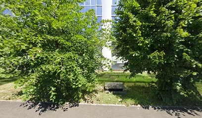 Aality, Concepteur de Sites Web à Saint-Étienne