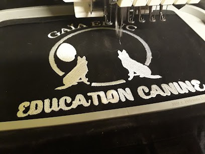 Dynapix, Concepteur de Sites Web à Imling