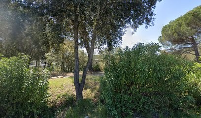 Nasteo, Concepteur de Sites Web à Biot