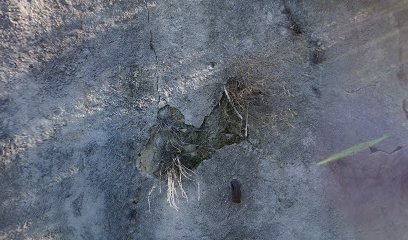 In4matique, Concepteur de Sites Web à Marseille 12