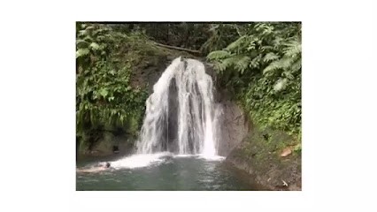 My Digitaland, Concepteur de Sites Web à Biscarrosse