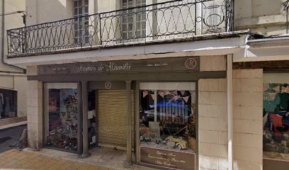 Ignis Web, Concepteur de Sites Web à Saumur