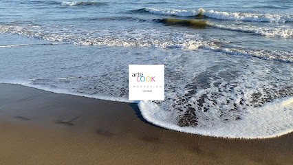 Artelook : Agence Web, Concepteur de Sites Web au Cannet