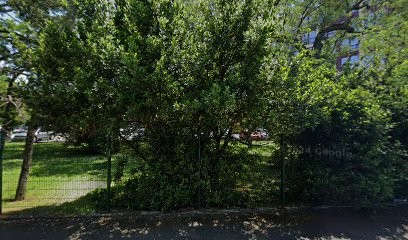 P & I - Echophone, Concepteur de Sites Web à Toulouse