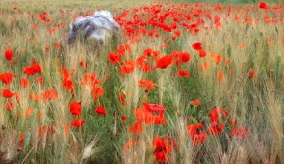 DEADRO Design, Concepteur de Sites Web aux Angles