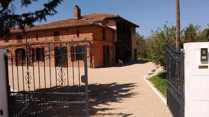 Erudicio, Concepteur de Sites Web à Mondonville