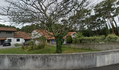 DANIEL FERNAND GRABOWSKI - 40220, Concepteur de Sites Web à Tarnos