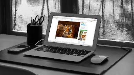 Salim Benfarhat, Concepteur de Sites Web à Marseille 15