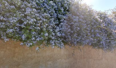 Gomez Gilles, Concepteur de Sites Web à Carqueiranne