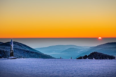 Graine De Com' - Anaïs Communication, Concepteur de Sites Web à Fresse-sur-Moselle