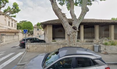 Signo, Concepteur de Sites Web à Maussane-les-Alpilles