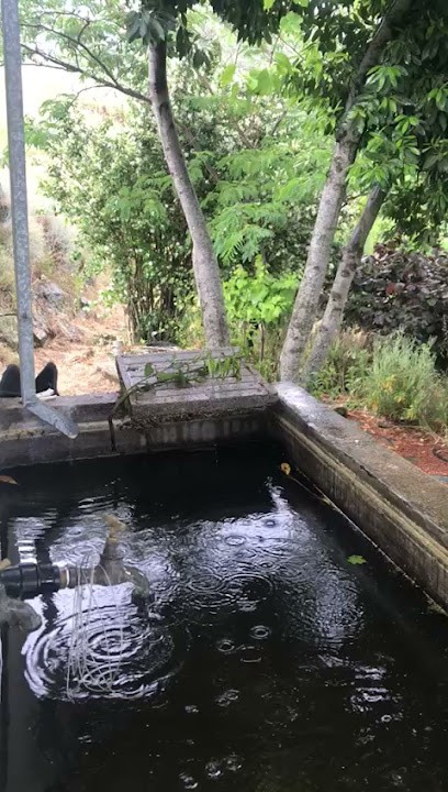 L'Atelier Du Site, Concepteur de Sites Web à Toulouse