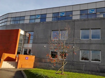 Kobaltis, Concepteur de Sites Web à Lambersart