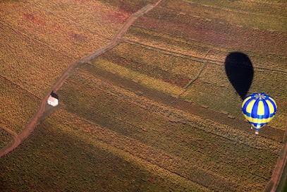 WIN, Concepteur de Sites Web à Lille