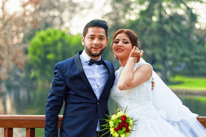 Reach The Moon, Concepteur de Sites Web à Saint-Cyr-sur-Loire