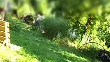 Grafisan.fr, Concepteur de Sites Web à Rezé