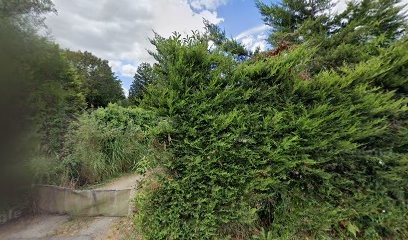 Meizadenn Web, Concepteur de Sites Web à Elven