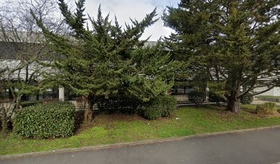 Arnaud Desmedt, Concepteur de Sites Web à Talence