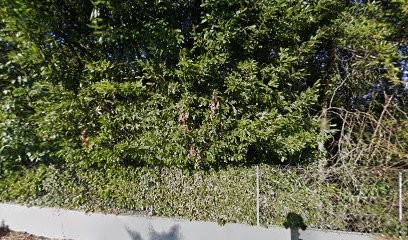 Cybmedia, Concepteur de Sites Web à Pessac