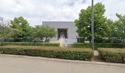 Antemene, Concepteur de Sites Web à Gallargues-le-Montueux