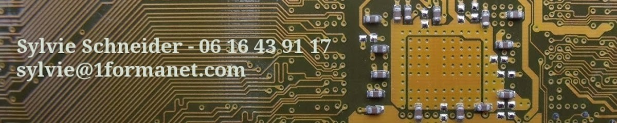 1formanet, Concepteur de Sites Web à La Sauvetat-du-Dropt