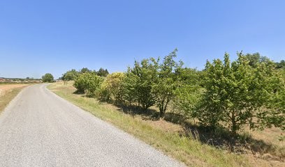 SEW, Concepteur de Sites Web à Marsaz