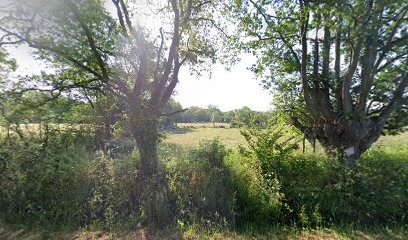 Agence web : création site vitrine Couëron, création e-commerce, Concepteur de Sites Web à Couëron