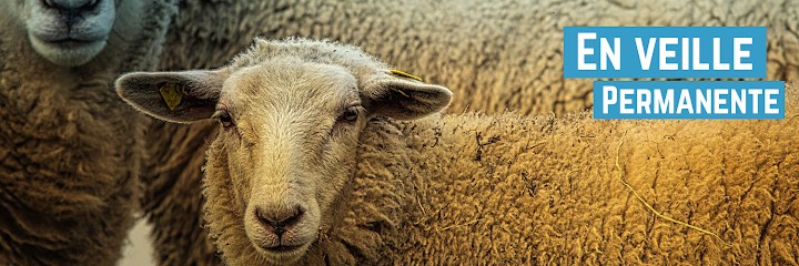 William Barla, Concepteur de Sites Web au Bouscat