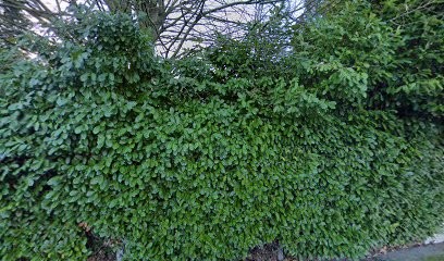 NetInfosMédias, Concepteur de Sites Web à Amiens