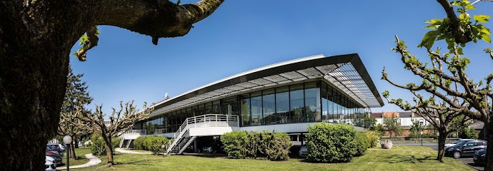 CNS Consulting 💻 Création De Site Internet à Saintes En Charente-Maritime, Concepteur de Sites Web à Saintes