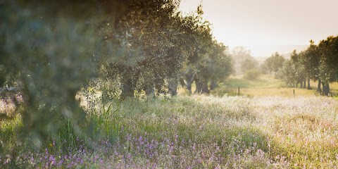 TYLDO, Concepteur de Sites Web à Buis-les-Baronnies