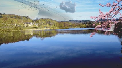 Yume Origins, Concepteur de Sites Web à Peyrat-le-Château