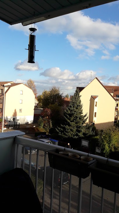 Ekinea, Concepteur de Sites Web à Eckbolsheim