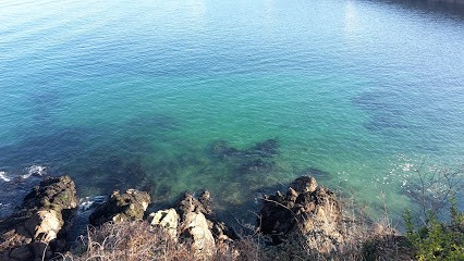Les Sentinelles du Web, Concepteur de Sites Web à Douarnenez