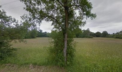 Nota Web, Concepteur de Sites Web à Septfonds