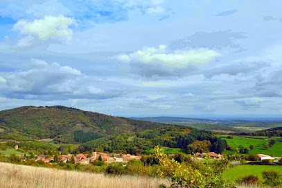 Bois Et Buis Pour La Facture Instrumentale, Concepteur de Sites Web à Donzy-le-Pertuis