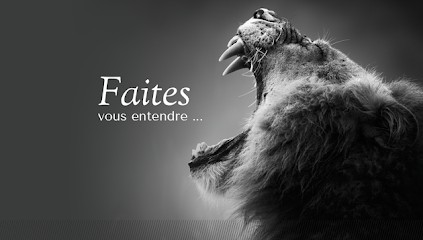 Mc-media.com - Agence Web & Communication, Concepteur de Sites Web à Poligny