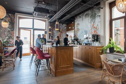 Dernier Cri, Concepteur de Sites Web à Lille